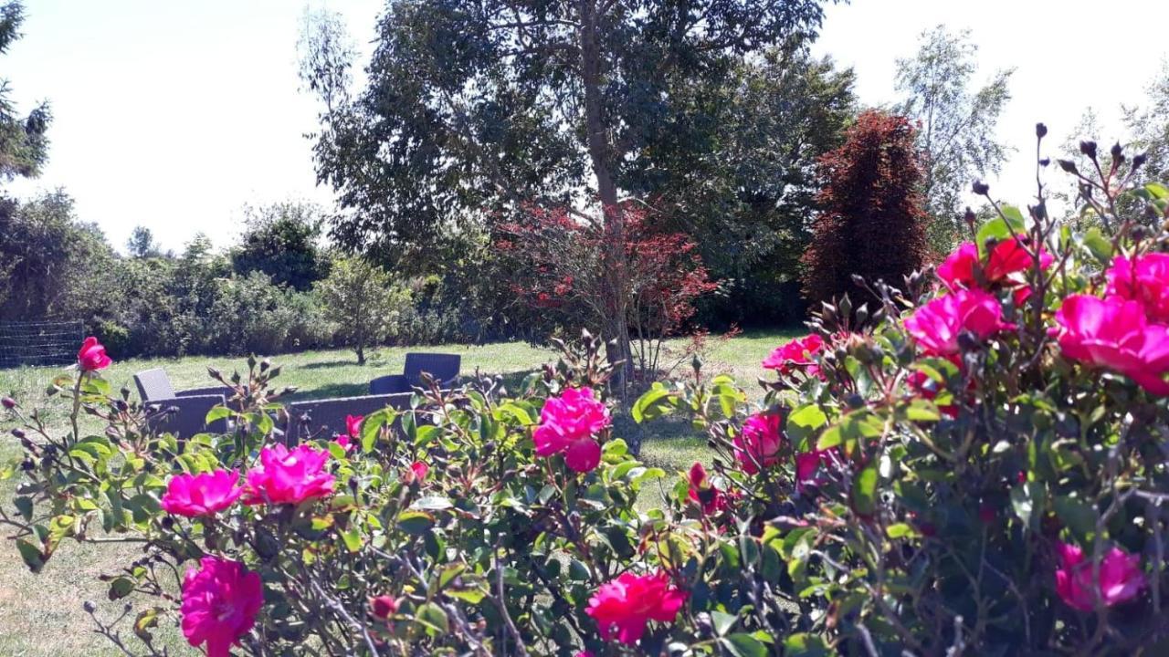 B&B Auberge Aux Marais Montmartin-en-Graignes Eksteriør billede